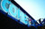 Sign Painters
