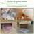 50 Pcs Bubble Pouch Wraps, 8''x10'' Clear Bubble Out Bags for Packing, Double Walled Cushioning Bags for Shipping, Storage and Moving