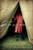 Water for Elephants: A Novel