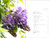 The Layered Garden: Design Lessons for Year-Round Beauty from Brandywine Cottage