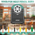 Heavy Duty Electric Pencil Sharpener, 6 Holes, AFMAT Classroom Pencil Sharpener for 6-11mm Pencils, Auto Stop, Super Fast, Save Pencils, School Teacher Must Have Pencil Sharpeners Plug in, Green