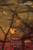 Street Haunting and Other Essays