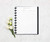 BetterNote Finance Refill Forms for Disc Notebooks, Fits Levenger Circa, Happy Planner, Staples Arc, TUL, Discbound (Expense Tracker, 11-Disc, 8.5"x11")