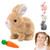 My Realistic Bunny Toy Easter Basket Stuffer, 2025 New Interactive Bunny Toys Bunnies Can Walk and Talk, Handmade Hopping Realistic Rabbit Toys for Kids (Brown-A)