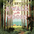 A Walk in the Woods Complete & Unabridged
