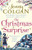 The Christmas Surprise (Rosie Hopkins)