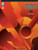 Matteo Carcassi - 25 Melodic and Progressive Studies, Op. 60: Book/Online Audio