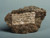 Souvenir Nation: Relics, Keepsakes, and Curios from the Smithsonian's National Museum of American History