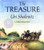 The Treasure (Sunburst Book)
