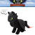 Franco Bedding Super Soft Plush, Standard, How To Train Your Dragon Toothless