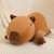 SQEQE Weighted Capybara Plush, Weighted Capybara Stuffed Animal for Anxiety, Cute Plushies Soft Pillow Toy Gift for Kids Adults 9.8 Inch, 0.8 Lbs