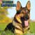 Just German Shepherds 2017 Wall Calendar (Dog Breed Calendars)