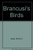 Brancusi's Birds
