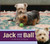 Jack and the Ball