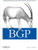 BGP BGP
