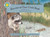 Raccoon at Clear Creek Road (Smithsonian's Backyard; Miniature Edition) Raccoon at Clear Creek Road (Smithsonian's Backyard; Miniature Edition)