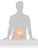 Children's Costume: The Complete Historical Sourcebook