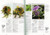 The Houseplant Encyclopedia