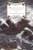 Mr. Midshipman Hornblower (Hornblower Saga (Paperback))