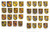 US Army Special Forces Team History and Insignia 1975 to the Present