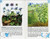 Wildflowers: A Fully Illustrated, Authoritative and Easy-to-Use Guide (A Golden Guide from St. Martin's Press)