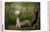 Mark Ryden: Pinxit