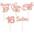 30 Pack Happy 16th Birthday Cupcake Toppers Rose Gold Glitter Sixteen Cheers to 16 Years Old Birthday Cupcake Picks for Happy 16th Birthday Anniversary Party Cake Decorations