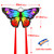 Kaiciuss Butterfly Kite for Kids & Adults Easy to Fly, 55" x 28" Large Single Line for The Beach, Easy Flying for Beginners, Comes with 300 FT String Line Handle