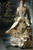 Princess of the Midnight Ball (Twelve Dancing Princesses)