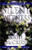 Silent Witness (Dr. Samantha Ryan Mysteries)