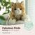 Bearington Collection 15-Inch Tabby Cat Plush Toy - Realistic Stuffed Animal for Kids - Orange Stuffed Cat