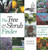 The Tree and Shrub Finder: Choosing the Best Plants for Your Yard