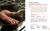 Meat and Potatoes: Simple Recipes that Sizzle and Sear