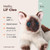 Bearington Collection Lil' Cleo Siamese Cat Plush Toy Stuffed Animals with Ultra Soft Long Fur - Birthday, for Animal Lovers, Cat Owners