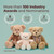 Bearington Collection Lil' Cleo Siamese Cat Plush Toy Stuffed Animals with Ultra Soft Long Fur - Birthday, for Animal Lovers, Cat Owners