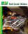 Red-Eared Sliders (Animal Planet Pet Care Library)