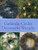 The Complete Book of Garlands, Circles & Decorative Wreaths: Creating beautiful seasonal displays from flowers and natural materials