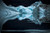 Arctica: The Vanishing North