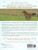 Shy Boy: The Horse That Came in from the Wild