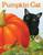 Pumpkin Cat