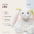 Bearington Lilly The Bunny Stuffed Animal, 14 Inch Plush Bunny