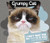 Grumpy Cat Year-In-A-Box Calendar (2017)