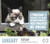 Grumpy Cat Year-In-A-Box Calendar (2017)