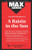 Raisin in the Sun, A (MAXNotes Literature Guides)