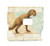 Barnum's Bones: How Barnum Brown Discovered the Most Famous Dinosaur in the World