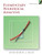 Elementary Numerical Analysis