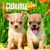 Chihuahua Puppies 2017 Mini 7x7 (Multilingual Edition)