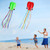 Hengda Kite-Pack 2 Colors Beautiful Large Easy Flyer Kite for Kids-Software Octopus-It's Big! 31 Inches Wide with Long Tail 157 Inches Long-Perfect for Beach or Park by Hengda kite