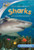 Sharks (Discovery Kids) (Discovery Kids Read and Discover) Sharks (Discovery Kids) (Discovery Kids Read and Discover)