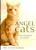 Angel Cats: Divine Messengers of Comfort